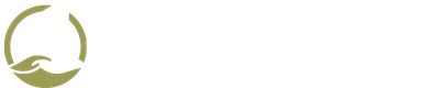 Abhinay Realty